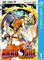 AKABOSHI―異聞水滸伝―