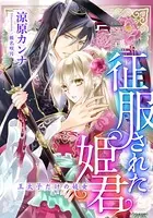 【電子オリジナル】征服された姫君 王太子だけの妓女【特典SS付】