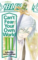 BLEACH Can’t Fear Your Own World