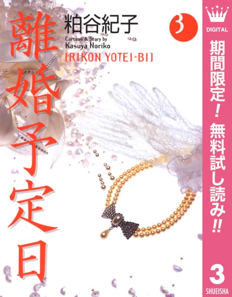 離婚予定日【期間限定無料】