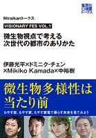 VISIONARY FES
