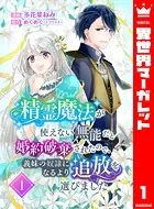精霊魔法が使えない無能だと婚約破棄されたので、義妹の奴隷になるより追放を選びました（単話）