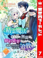 精霊魔法が使えない無能だと婚約破棄されたので、義妹の奴隷になるより追放を選びました 7