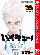 ハイキュー！！ カラー版 39