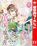 竜の国の魔導書 〜婚約破棄された上に呪われて角が生えたので、イケメン魔法使いと解呪に奔走しています〜 11