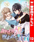 身代わり姫と呪われし賢者 12