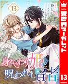 身代わり姫と呪われし賢者 13