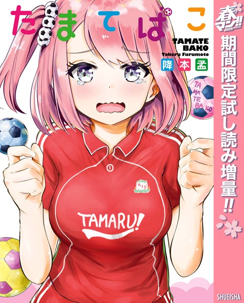 たまてばこ【期間限定試し読み増量】