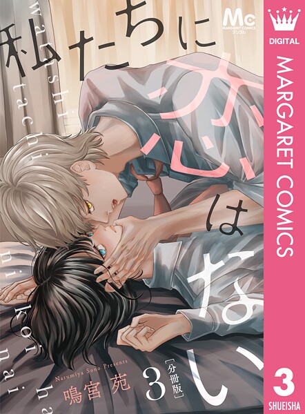私たちに恋はない 分冊版 3