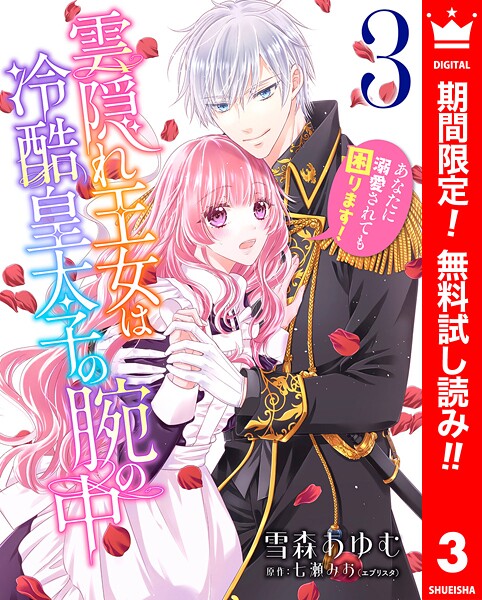 雲隠れ王女は冷酷皇太子の腕の中〜あなたに溺愛されても困ります！【期間限定無料】 3
