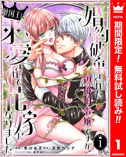 婚約破棄された辺境伯令嬢ですが、敵国王に求愛されて花嫁になりました【期間限定無料】
