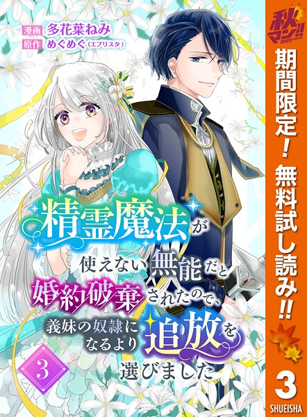 精霊魔法が使えない無能だと婚約破棄されたので、義妹の奴隷になるより追放を選びました【期間限定無料】
