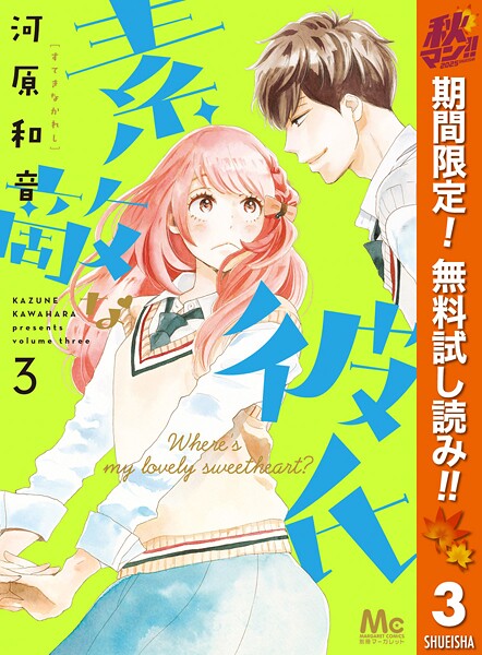 素敵な彼氏【期間限定無料】