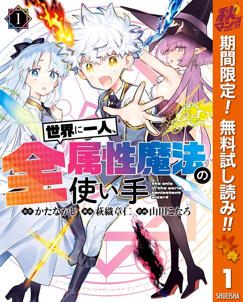 世界に一人、全属性魔法の使い手【期間限定無料】