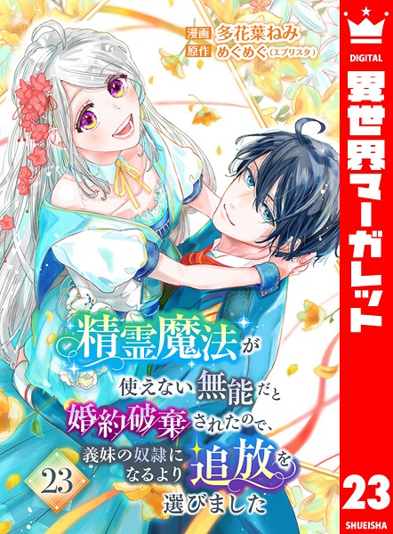 精霊魔法が使えない無能だと婚約破棄されたので、義妹の奴隷になるより追放を選びました（単話）