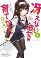 冴えない彼女の育てかた 深崎暮人画集 下 Fine.（最新刊） - 深崎暮人