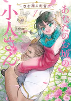 あなたのお城の小人さん 〜空を翔る配管工〜