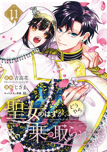聖女のはずが、どうやら乗っ取られました 11
