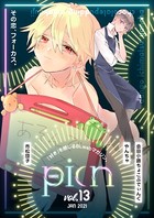 comic picn vol.13