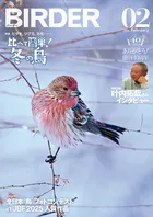 BIRDER