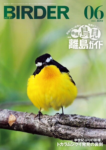 BIRDER
