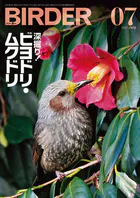 BIRDER