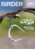 BIRDER
