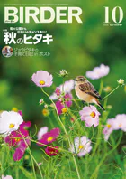 BIRDER