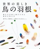 世界の美しき鳥の羽根