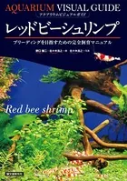 レッドビーシュリンプ