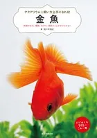 金魚