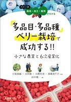 BAD BOYS 湘南爆走族セット 全8冊 田中宏 吉田聡 バッドボーイズ 田中宏 [1-22巻 漫画全巻セット/完結] BAD BOYS