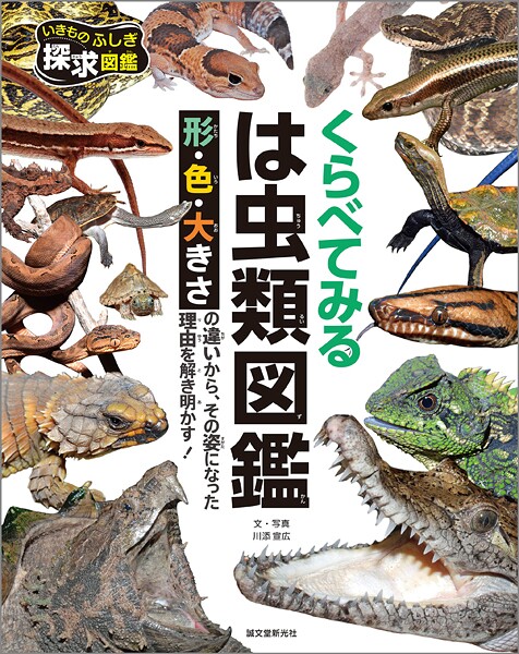 くらべてみる は虫類図鑑 形・色・大きさの違いから、その姿になった理由を解き明かす！