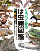 くらべてみる は虫類図鑑 形・色・大きさの違いから、その姿になった理由を解き明かす！