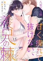 甘く痺れて抜けない、義兄の棘〜駿ちゃん、大好きです…〜 13巻