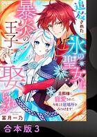 追放された氷の聖女は暴炎の王子に娶られる〜旦那様に寵愛されて、今度こそ居場所をみつけます！〜【合本版】3