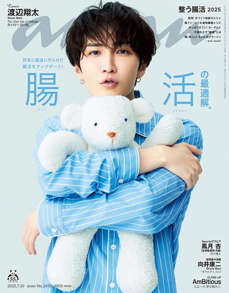 anan（アンアン） 2025年 7月30日号 No.2456［腸活の最適解。］