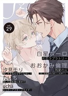 Strada＋ vol.29
