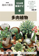 多肉植物
