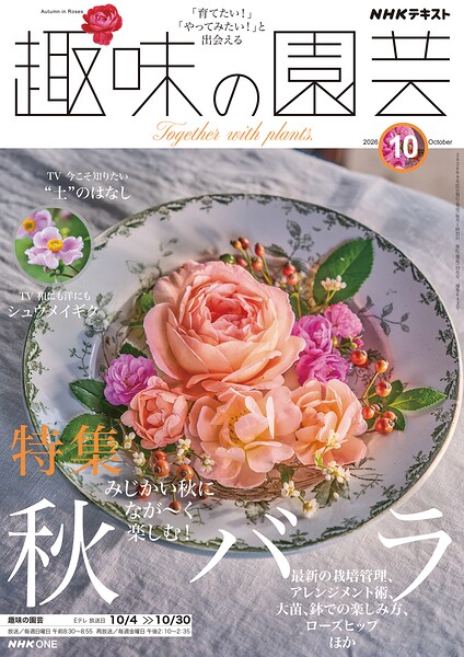 NHK 趣味の園芸 2026年10月号