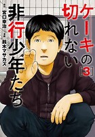 ケーキの切れない非行少年たち 3巻