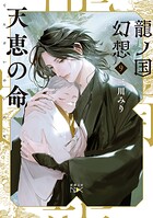 龍ノ国幻想 9