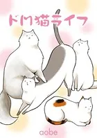 ドM猫ライフ
