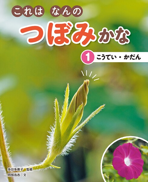 これはなんのつぼみかな （1）こうてい・かだん