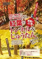 東海ウォーカー特別編集 紅葉のトンネル＆じゅうたん感動の45景