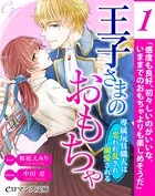 王子さまのおもちゃ