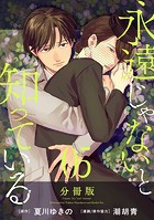 永遠じゃないと知っている【分冊版】5