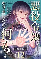 悪役令嬢になりましたが、何か？【分冊版】12