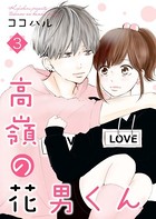 高嶺の花男くん 【合冊版】 3