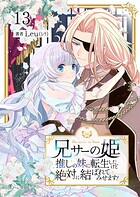 兄サーの姫〜推しの妹に転生したけど、絶対に結ばれてみせます！〜 13